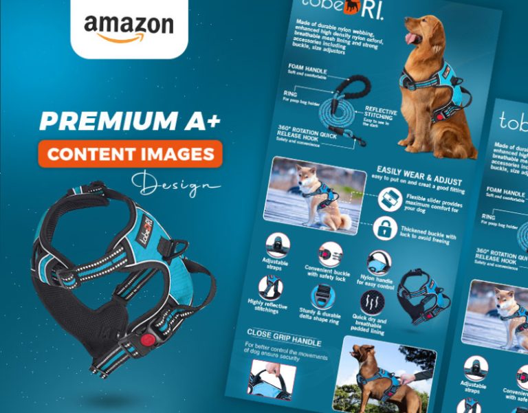 Amazon Premium A Plus Content